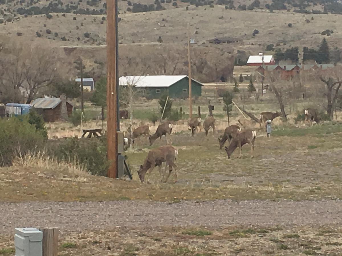 South Fork Lodge & Rv Park Colorado מראה חיצוני תמונה